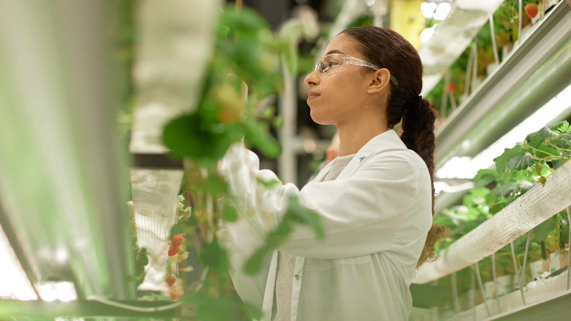 Kobieta w okularach ochronnych i kitlu pracująca przy sadzonkach roślin.