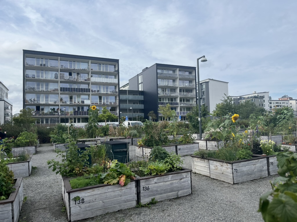 Widok na ogródki w skrzyniach na tle bloków mieszkalnych.